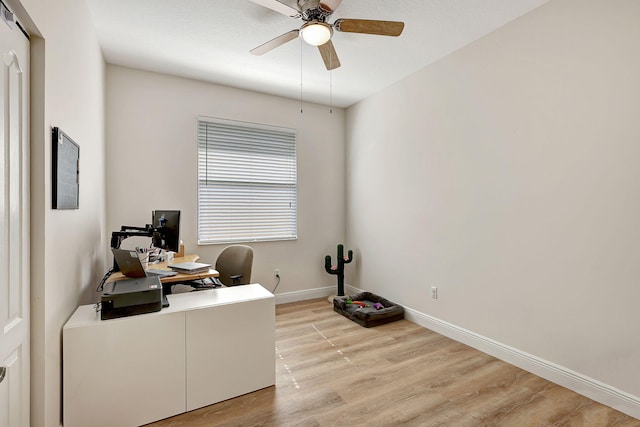 office featuring ceiling fan and light hardwood / wood-style flooring