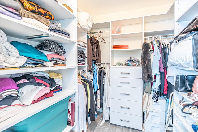 view of spacious closet