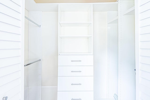 view of spacious closet