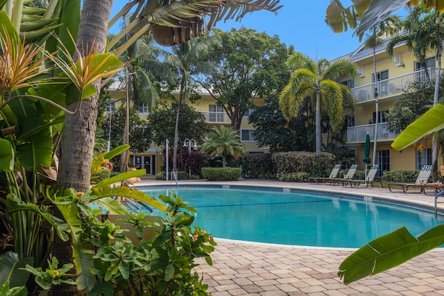 view of swimming pool with a patio