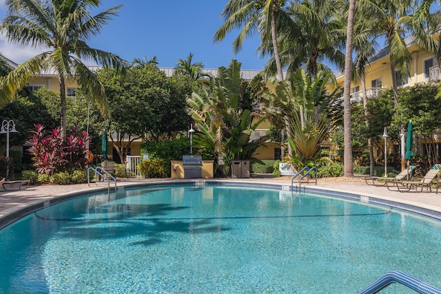 view of pool featuring a grill and a patio