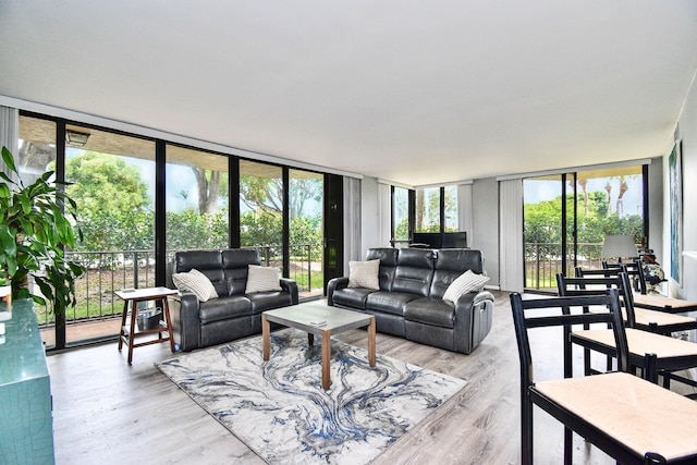 living room with floor to ceiling windows and light hardwood / wood-style floors