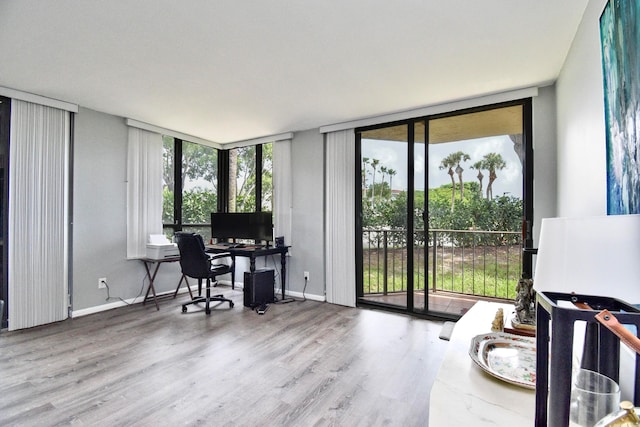 office featuring a wall of windows and wood-type flooring