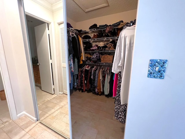 view of walk in closet