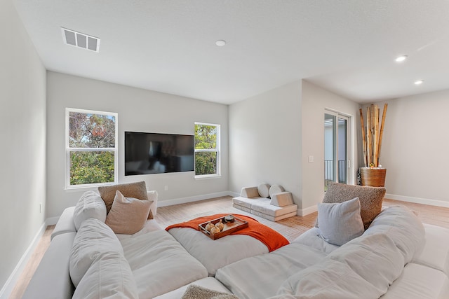 living room featuring light hardwood / wood-style flooring