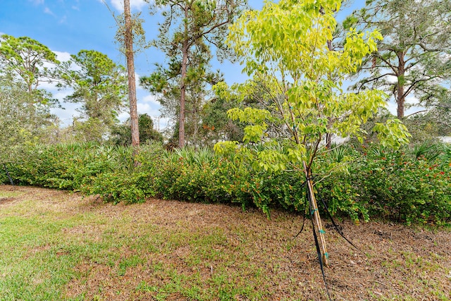 200 SW Pomeroy St, Stuart, FL 34997 - view of yard