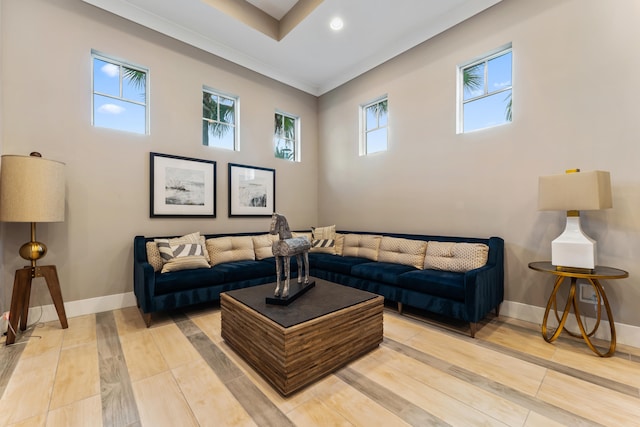 living room with light hardwood / wood-style flooring and ornamental molding