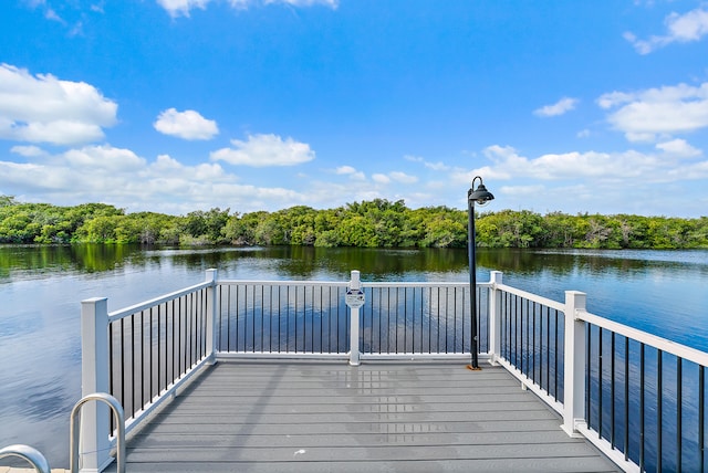 dock area with a water view