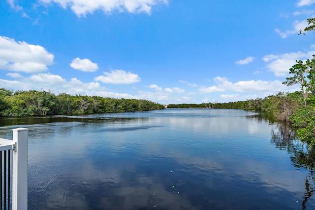 200 SW Pomeroy St, Stuart, FL 34997 - water view with a heavily wooded area