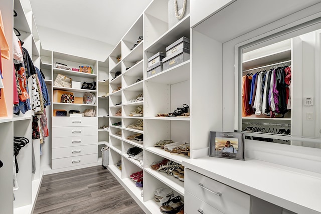 walk in closet featuring dark hardwood / wood-style floors