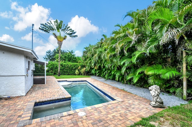 view of pool featuring a patio area