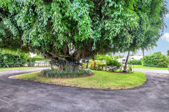 view of home's community with a yard