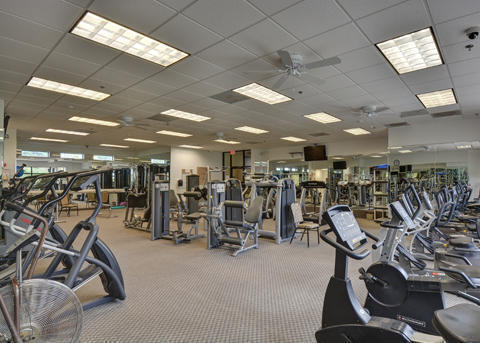 gym featuring a paneled ceiling, carpet, and ceiling fan