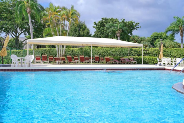 view of swimming pool with a patio