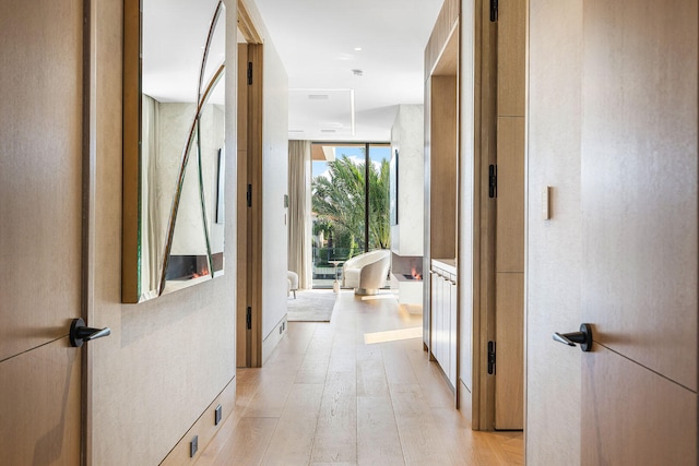 hallway with light hardwood / wood-style flooring