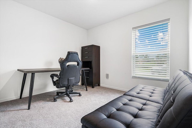 office area featuring carpet