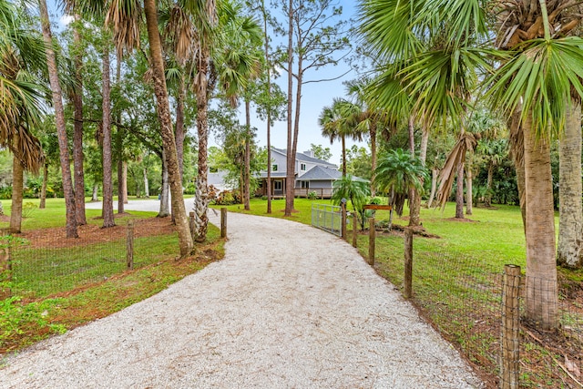 view of community with a yard