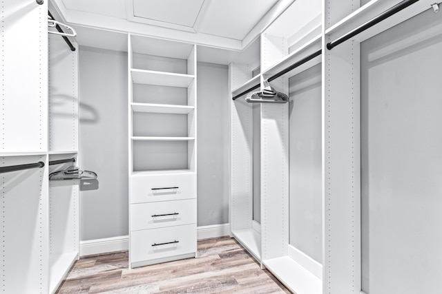 12151 Old Indiantown Rd, Jupiter, FL 33478 - spacious closet with light wood-type flooring