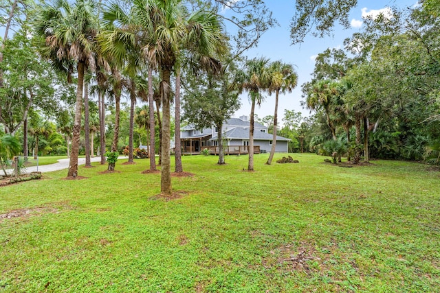 12151 Old Indiantown Rd, Jupiter, FL 33478 - view of grassy yard