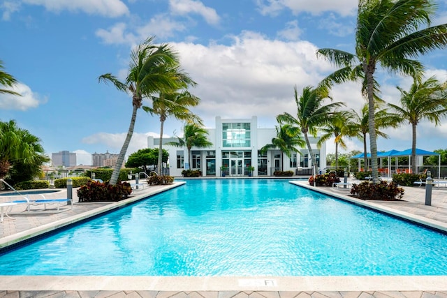 view of swimming pool featuring a patio area