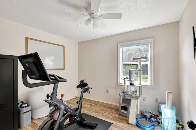 workout room with a textured ceiling, light hardwood / wood-style floors, and ceiling fan