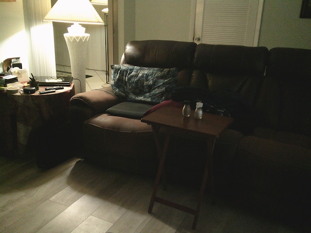 living room featuring light wood-type flooring