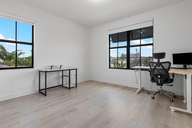 living room with hardwood / wood-style flooring and a raised ceiling