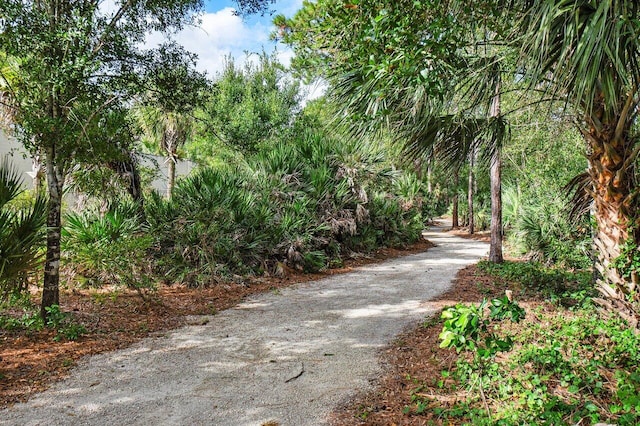 view of community with driveway