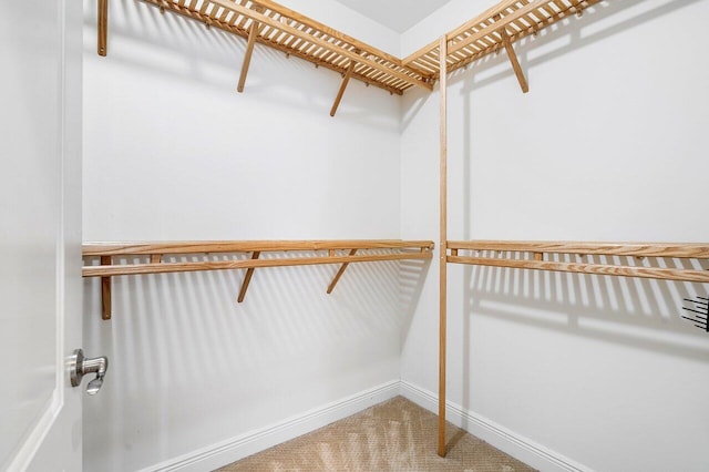 spacious closet with carpet floors