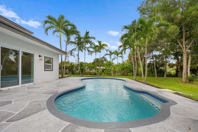 view of swimming pool with a lawn and a patio area