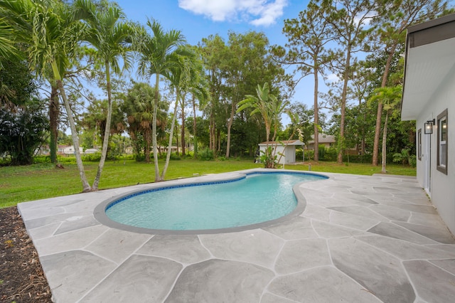 view of swimming pool featuring a patio area, a yard, and a storage shed