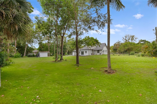 view of yard with a storage shed