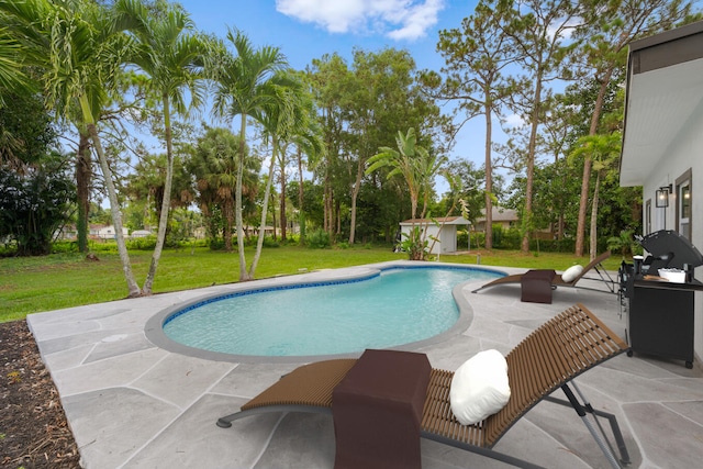 view of pool with a yard, a patio, and a shed