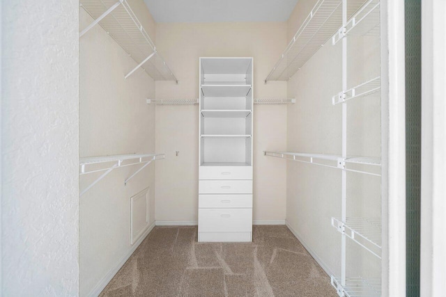 walk in closet featuring carpet