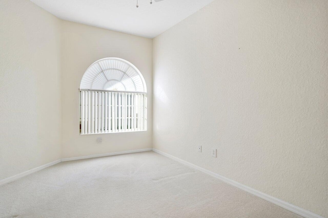 spare room featuring carpet floors