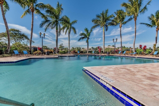 view of pool featuring a patio