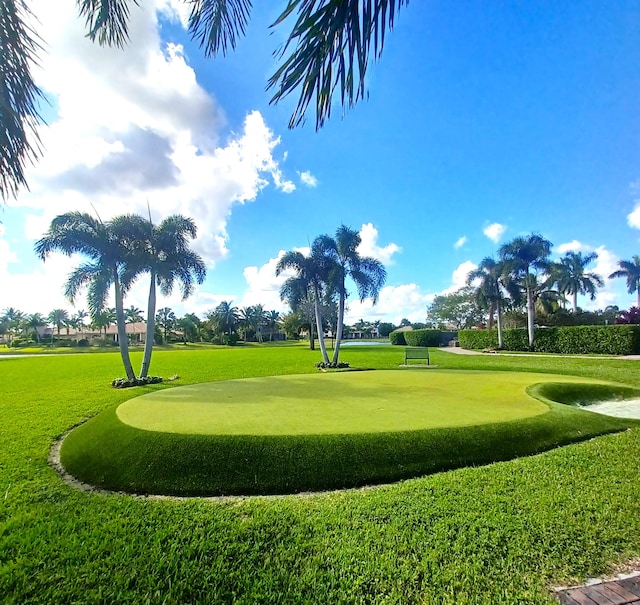 view of community featuring a yard