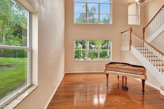 miscellaneous room with hardwood / wood-style floors, a healthy amount of sunlight, and a towering ceiling