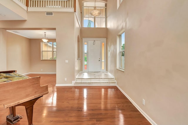 entryway featuring a towering ceiling and wood-type flooring