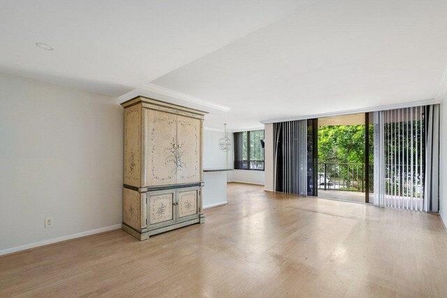 unfurnished room with light hardwood / wood-style flooring