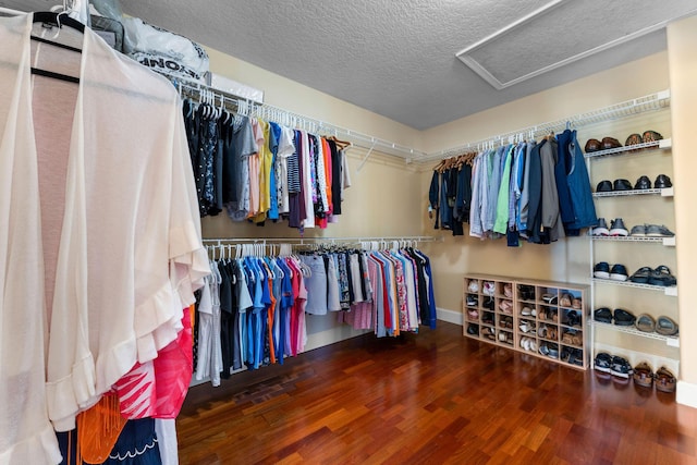 spacious closet with hardwood / wood-style flooring