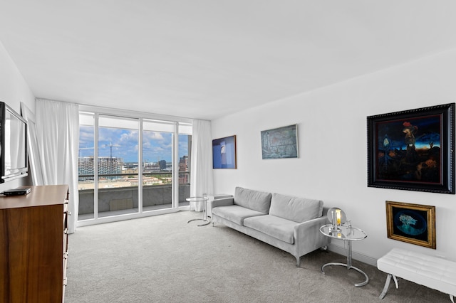 view of carpeted living room