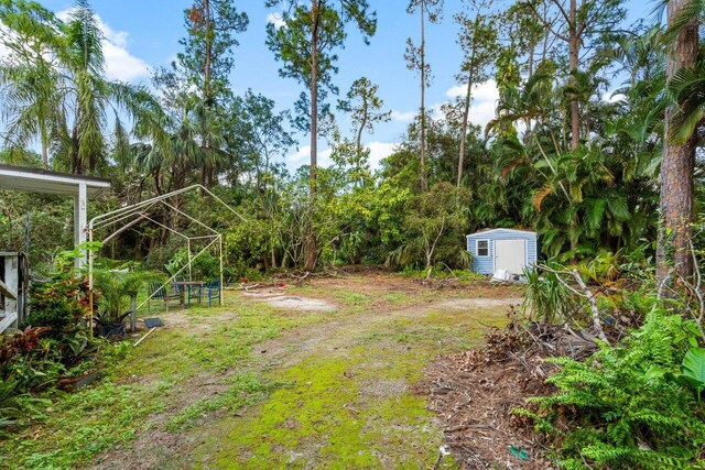 view of yard featuring a storage unit