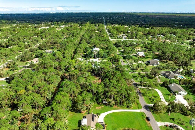 bird's eye view