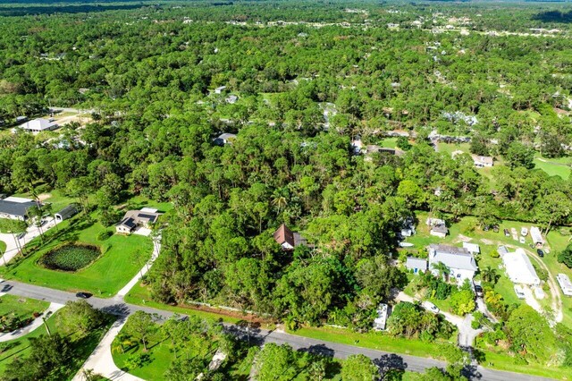 bird's eye view