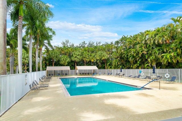 view of pool featuring a patio