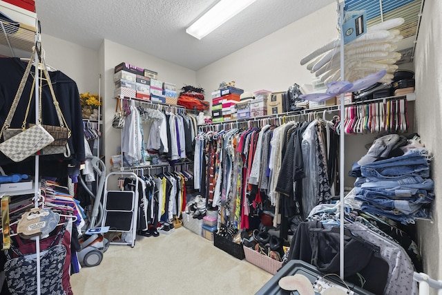 walk in closet featuring carpet floors