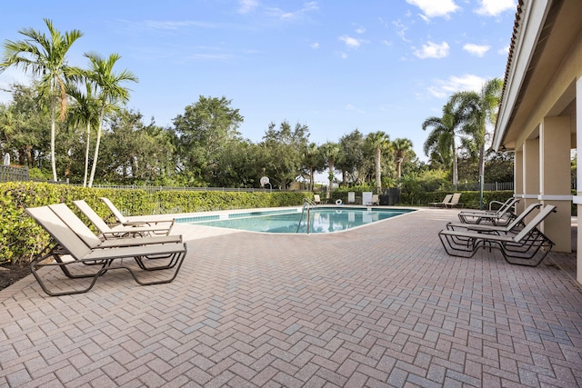 view of pool featuring a patio