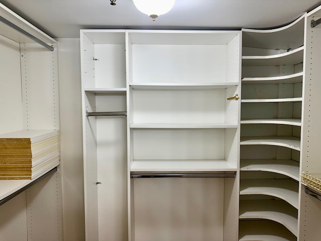 view of spacious closet