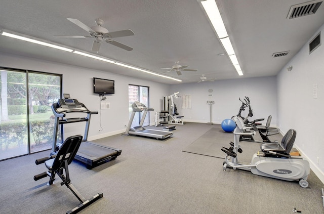 exercise room featuring ceiling fan and carpet flooring